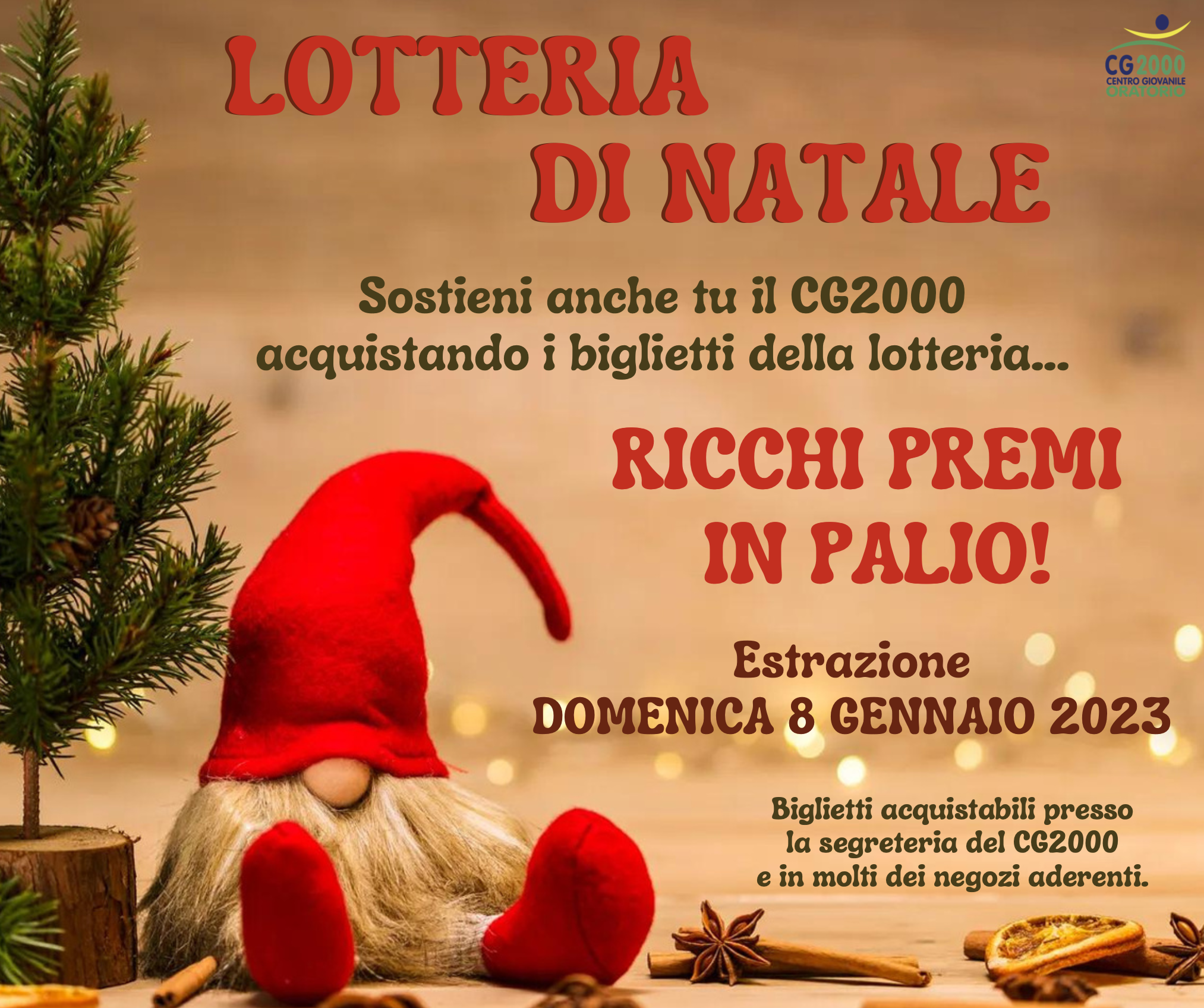 Read more about the article Lotteria di Natale